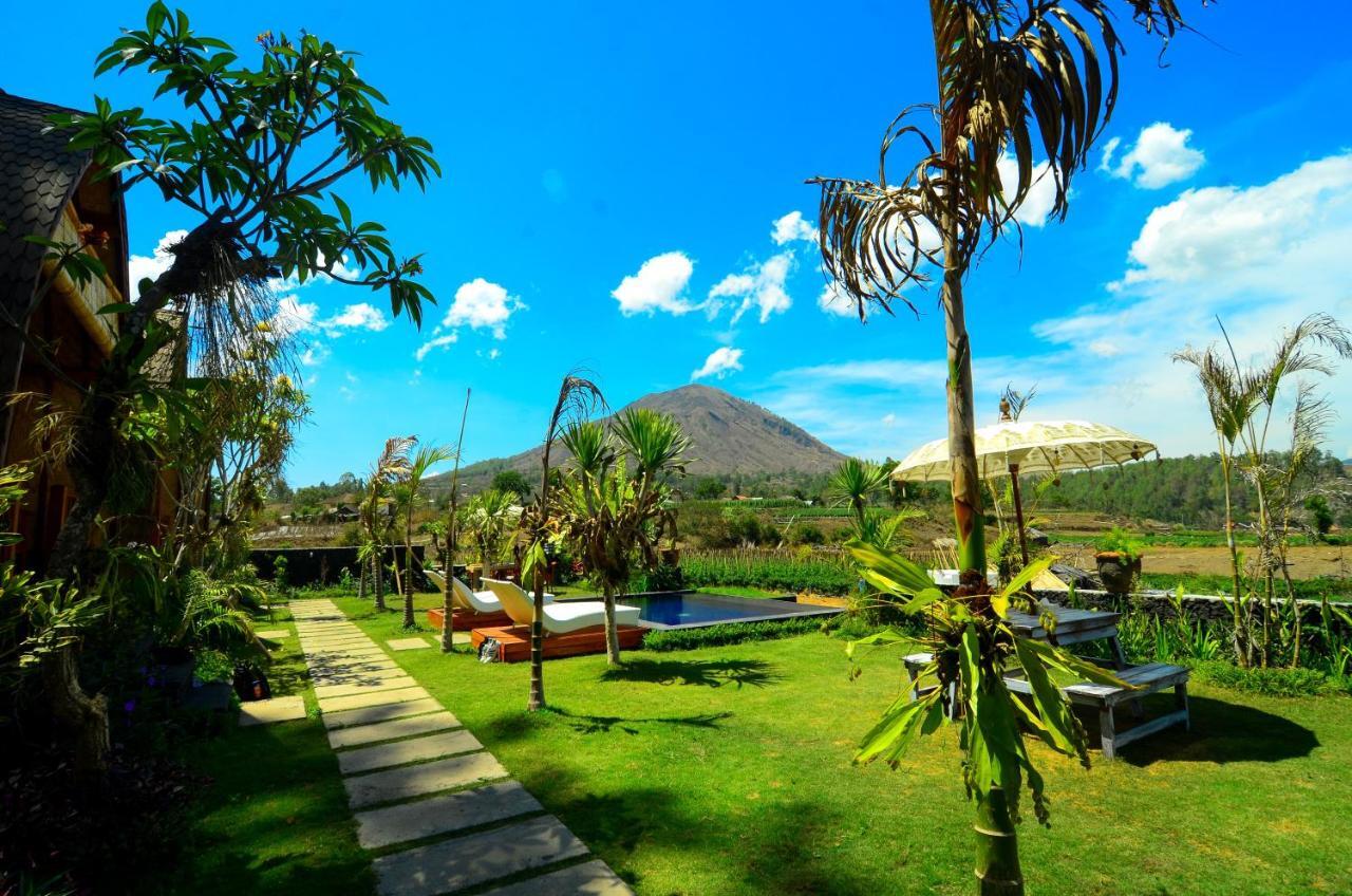 Batur Panorama Bed and Breakfast Kintamani Esterno foto